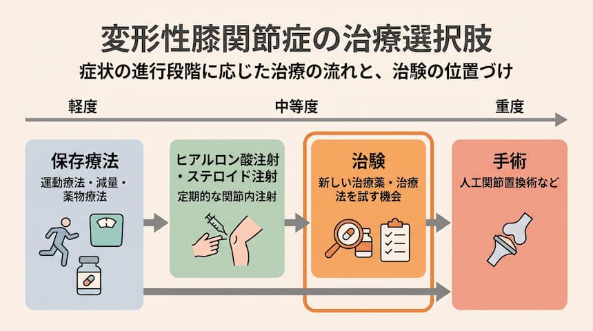 変形性膝関節症の治療選択肢と治験の位置付け